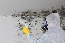 Middleton, ID Mold Removal & Remediation Company